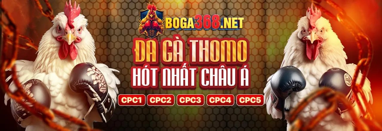Đá gà cựa dao trực tiếp tại Win2026